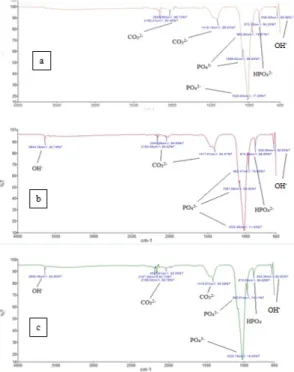 Gambar  3.1  Spektogram  FTIR  HAp  sintesis  pada  rasio  mol  Ca/P  1,60  dengan    suhu (a) 140 o C (b) 160 o C, dan (c) 180 o C 