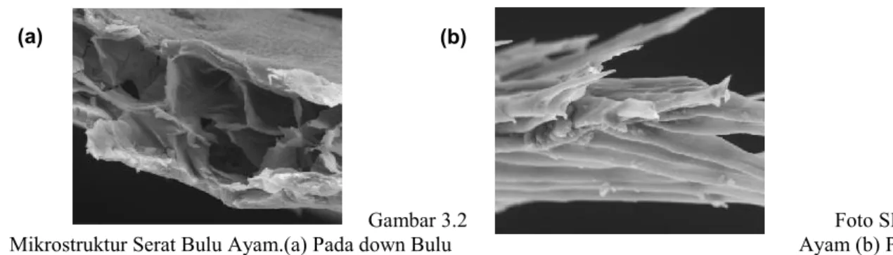 Gambar 3.2   Foto SEM 