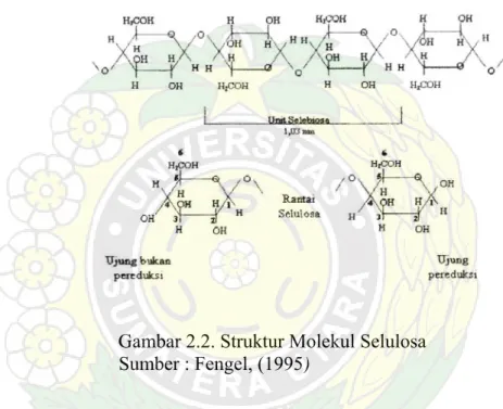 Gambar 2.2. Struktur Molekul Selulosa                                       Sumber : Fengel, (1995) 