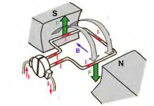 Figure 2.3: Torque production in a DC motor (R.Velentine, 1998) 