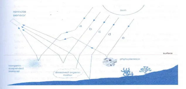 Gambar 1 Faktor-faktor yang mempengaruhi pantulan cahaya menuju sensor. (a) penyebaran oleh bahan anorganik tersuspensi, (b) penyebaran oleh molekul-molekul air, (c)absorpsi oleh komponen yellow substance, (d) refleksi dari dasar perairan dan (e) penyebaran oleh komponen fitoplankton.