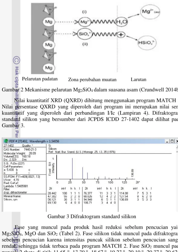 Gambar 2 Mekanisme pelarutan Mg 2 SiO 4  dalam suasana asam (Crundwell 2014b)  Nilai kuantitatif XRD (QXRD) dihitung menggunakan program MATCH 2