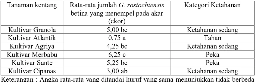 Tabel 1.  Jumlah Globodera rostochiensis Betina yang Menempel pada Akar 
