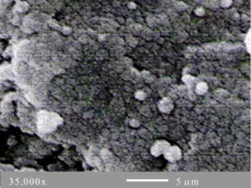 Gambar 6. Pola Difraksi Sinar X dari Sampel dengan aditif  SiO 2  1 % dan disinterring 1200 o C