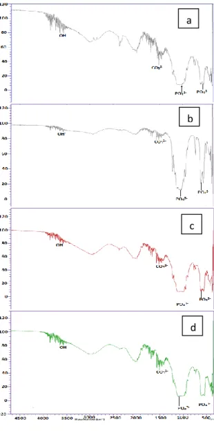 Gambar  2.  Spektrum  spektroskopi  FTIR  hidroksiapatit  dengan  waktu  ageing  (a)  tanpa  ageing,  (b)  12  jam,  (c)  36  jam,  dan  (d) 48 jam 