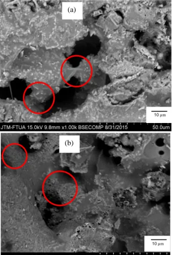Gambar  4  merupakan  hasil  analisa  SEM  yang  tujuannya  untuk  menjawab  anomaly  yang  terjadi  pada  penambahan  dolomite  16  dan  20  %wt