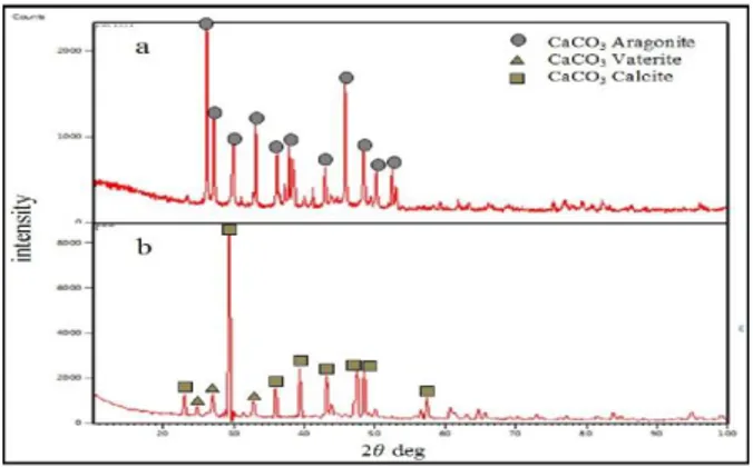 Gambar  3.  Spektrum  FTIR  HAp  hasil  sintesis  pH  10  pada  variasi  waktu reaksi (A) 22 jam, (B)  24 jam, dan (C) 26 jam  Kehadiran  PO 4 3-   dan  OH -   yang  merupakan  gugus  fungsional  dari  HAp  mengindikasikankan  adanya  kandungan  HAp  pada 
