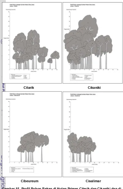 Gambar 15.  Profil Pohon Pakan di Hutan Primer Citarik dan Cikaniki dan di 