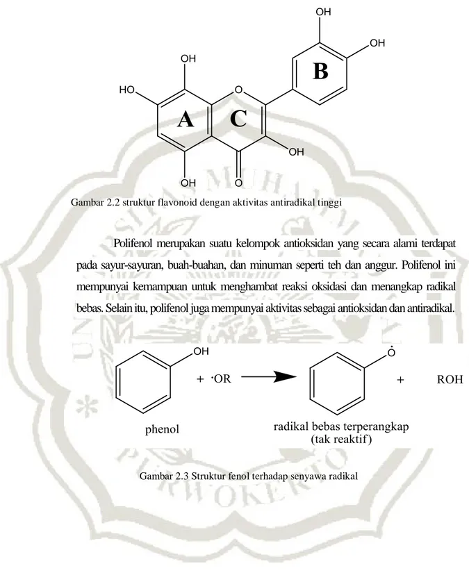 Gambar 2.3 Struktur fenol terhadap senyawa radikal 