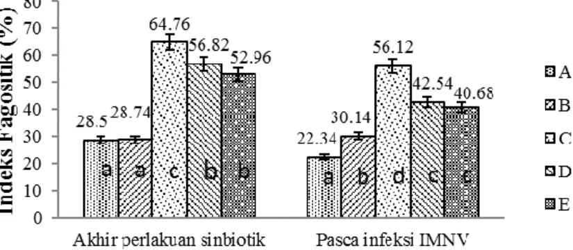 Gambar 6). Nilai indeks  fagositik pasca-infeksi IMNV  mengalami  penurunan  kecuali  pada  perlakuan  B  (kontrol (-) dan nilai tertinggi diperoleh pada perlakuan  C dengan nilai 56,12±2,57% (P&lt;0,05)