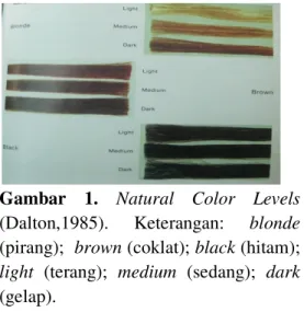 Gambar  1.  Natural  Color  Levels  (Dalton,1985).  Keterangan:  blonde  (pirang);  brown (coklat); black (hitam); 