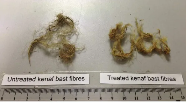 Fig. 5. Photo of untreated and treated kenaf bast ﬁbres.