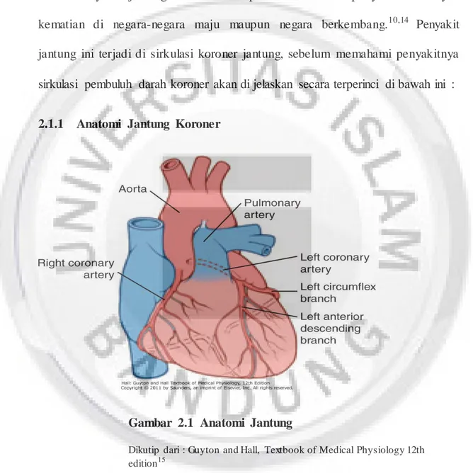 Gambar  2.1  Anatomi  Jantung 