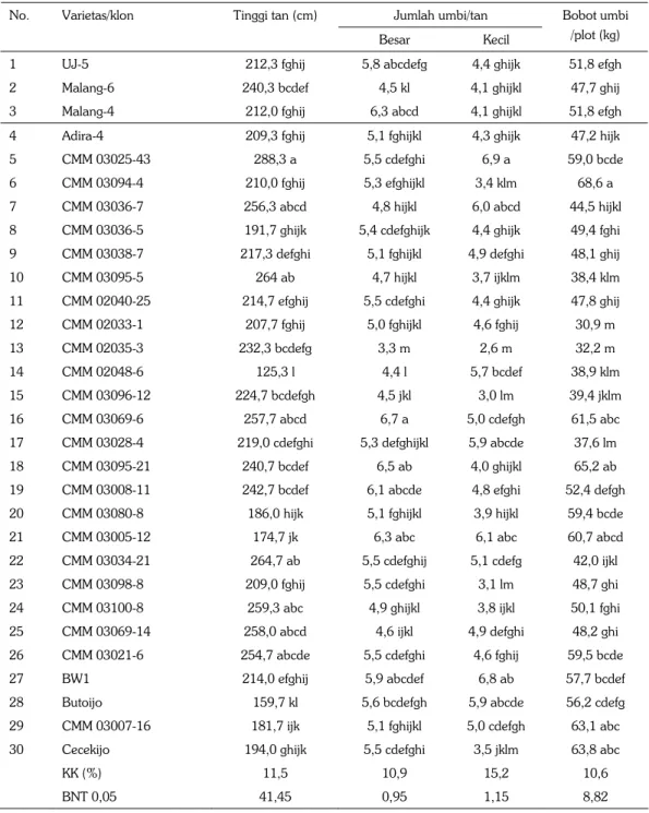 Tabel 3. Hasil dan komponen hasil 30 varietas/klon ubikayu. KP Tegineneng, MT 2011. 
