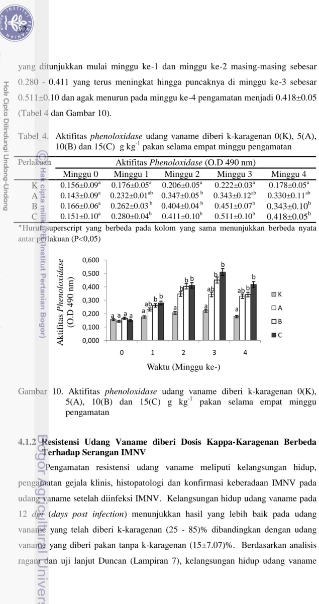 Tabel  4.    Aktifitas  phenoloxidase  udang  vaname  diberi  k-karagenan  0(K),  5(A),  10(B) dan 15(C)  g kg -1  pakan selama empat minggu pengamatan 