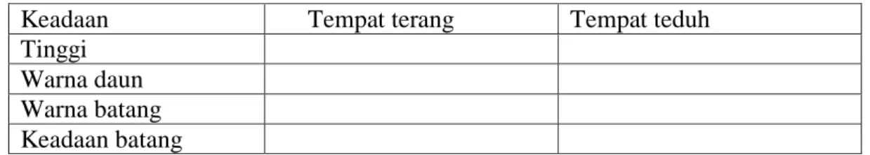 Table pengamatan 