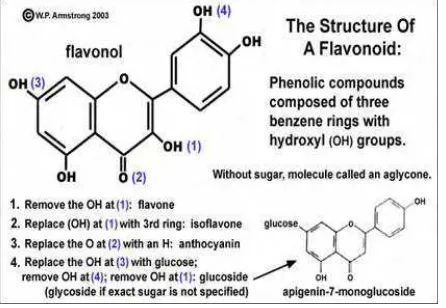 Gambar 1. struktur dasar flavonoid 