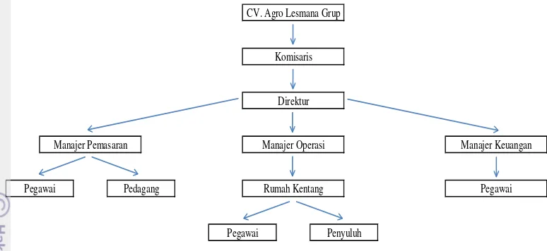 Gambar 9. Struktur organisasi CV. ALG 