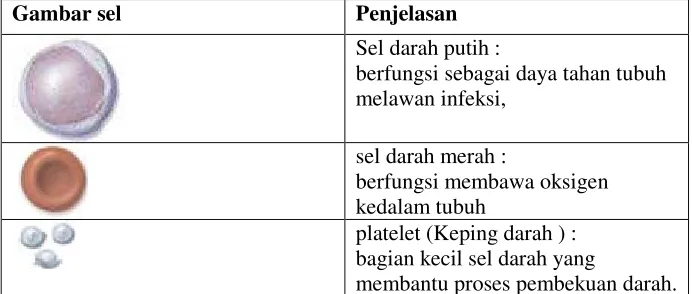 Gambar sel  