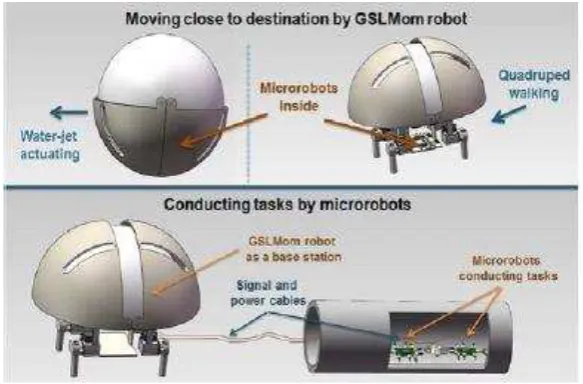 Figure 2.5: The GSL mother-son robot system 