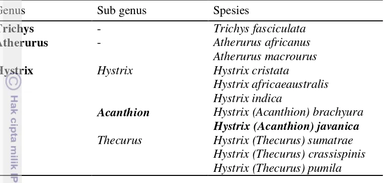 Tabel 1  Klasifikasi famili Hystricidae (Old World Porcupine) (Weers 2005;        