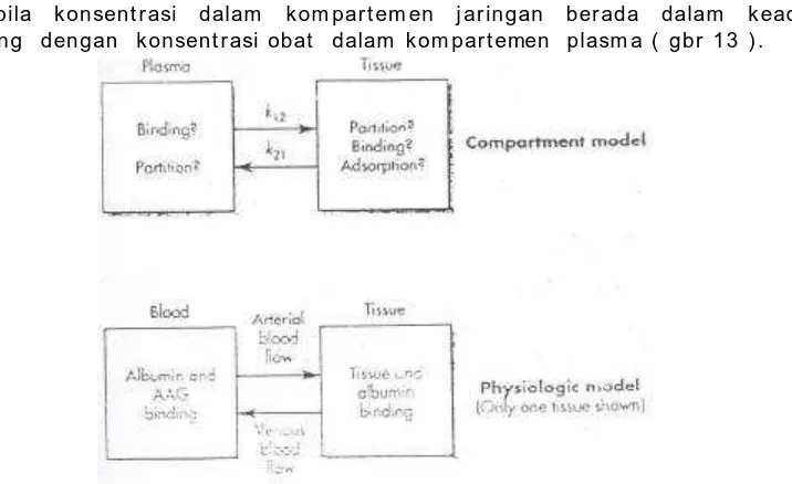 Gambar 13, Diagram memperlihatkan. Atasmodel 2 kompartemen. , Distribusi obat dengan pendekatan Bawah, Distribusi  obat  dengan pendekatan physiologis