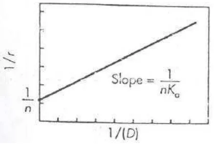 Grafik 1/ r versus 1/  ( D ) disebut :  Double reciprocal plot.lebih kompleks. Persamaan  4) menduga adanya satu tipe tempat pengikatan dan tidak ada interaksi diantara tempat pengikatan