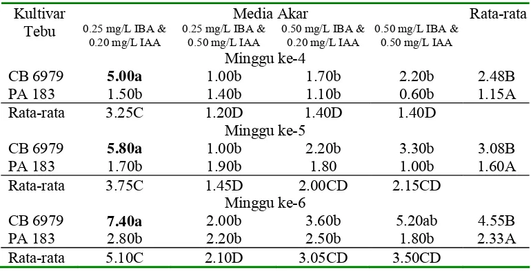 Tabel 7.   Rata-rata jumlah daun pada media perakaran planlet tebu kultivar PA 183 & CB 6979 pada minggu ke-6 