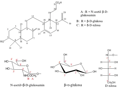 Gambar 2.3 Struktur asam lansat dan asam lansiolat  