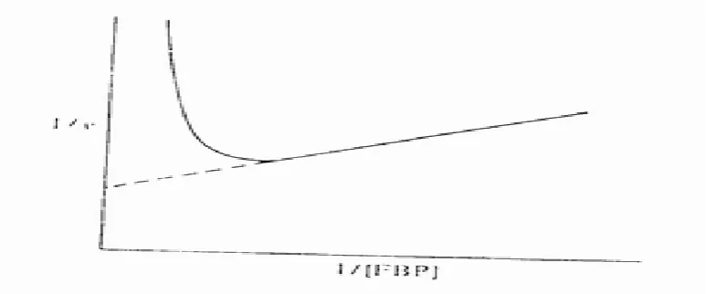 Fig. 6. Lineweaver-Burk plot for the reaction catalysed by fructose-bisphosphatase. The solid line represents the experimental data and shows that substrate inhibition occurs at high concentration of FBP (above about 0,1 mmol dm-3)