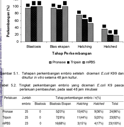 Gambar 5.1.  Tahapan perkembangan embrio setelah  dicemari E.coli K99 dan 