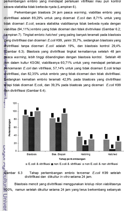 Gambar 6.3   Tahap perkembangan embrio tercemar E.coli K99 setelah 