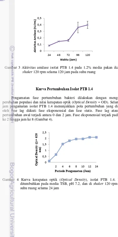 Gambar 3 Aktivitas amilase isolat PTB 1.4 pada 1.2% media pakan ikan, di 
