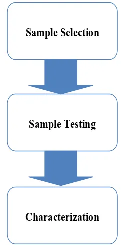 Figure 3.1: Research Flow Chart 