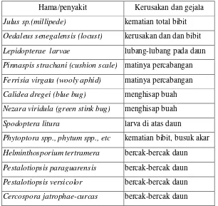 Tabel 2. Hama dan Penyakit tanaman jarak pagar 