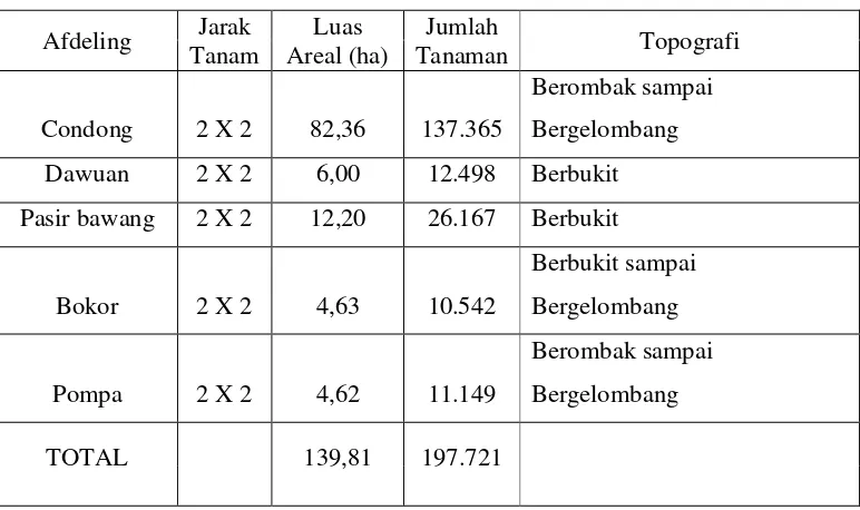 Tabel 7. Tanah kebun jarak  