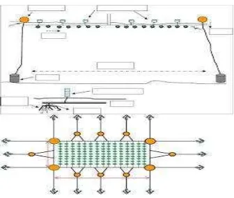 Gambar 3. Model Penanaman Rumput Laut Metode Long Line