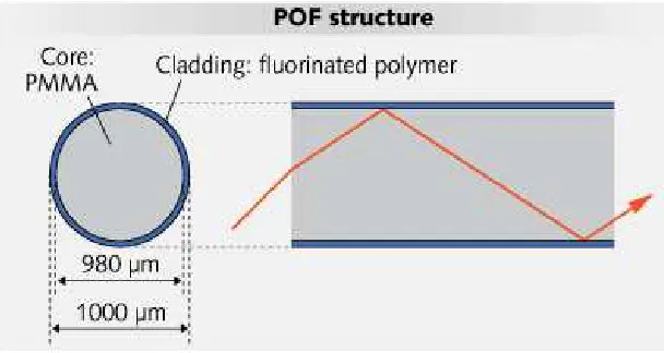 Figure 2.5: Typical Structure for POF 