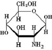 Gambar 4. Struktur D-glukosamin (Anonim, 2014) 