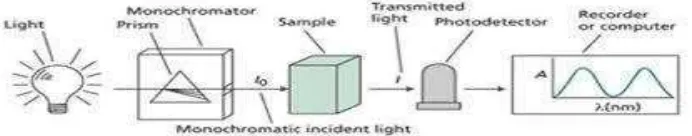 Gambar 10. Skema kerja spektrofotometri UV-Vis (Anonim, 2014) 