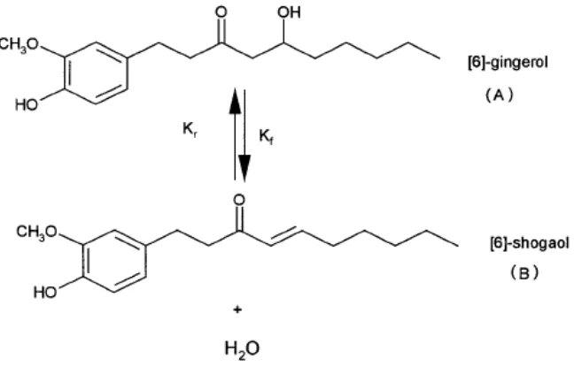 Gambar 3. Degradasi gingerol dalam suasana asam (Bhattarai et al., 2001)  