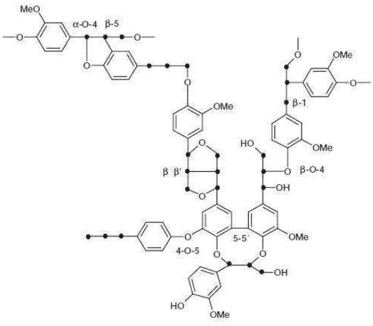 Gambar 5. Struktur Lignin (Datta, 1981).