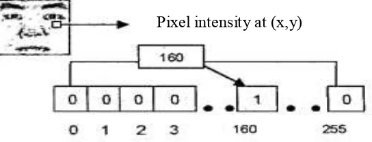 Figure 2.1: Active pixel representation [8]. 