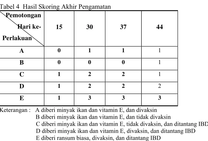 Tabel 4  Hasil Skoring Akhir Pengamatan 