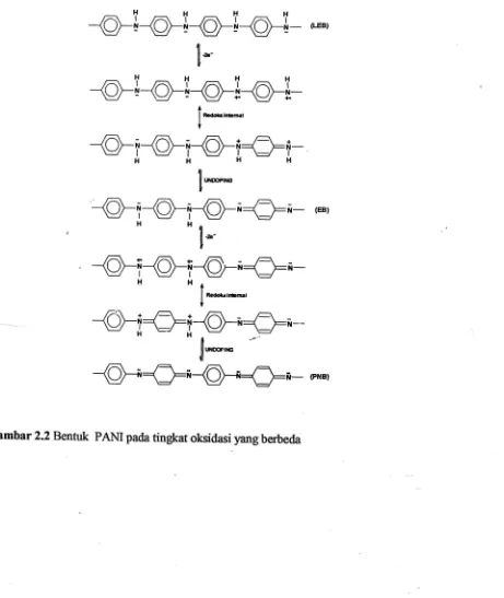 Gambar 2.2 Bentuk PANI pada tingkat oksidasi yang berbeda