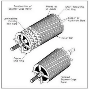 Gambar 2. 3. Rotor belitan dan Rotor sangkar 