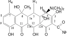Gambar 4 Struktur kimia golongan tetrasiklin 