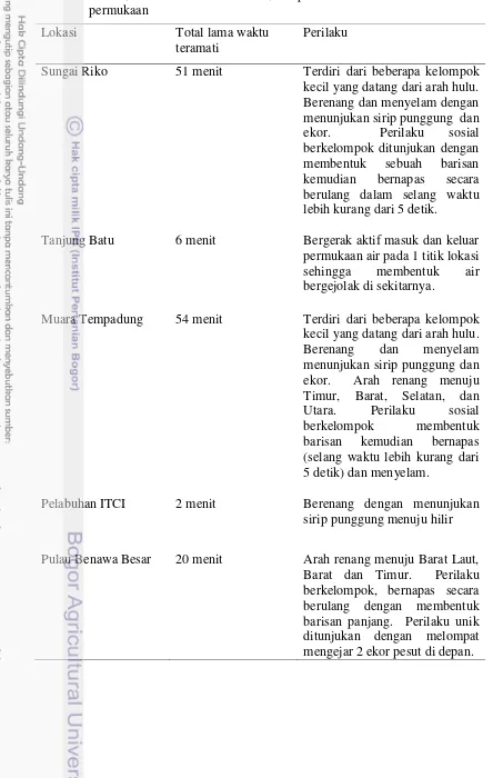 Tabel 4  Habitat, total lama waktu teramati, dan perilaku Pesut saat muncul ke    permukaan 