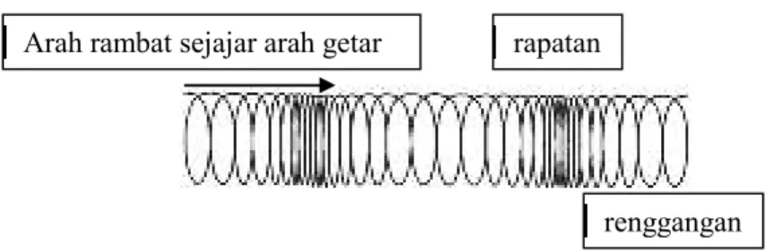 Gambar 2.3. Gelombang Longitudinal 