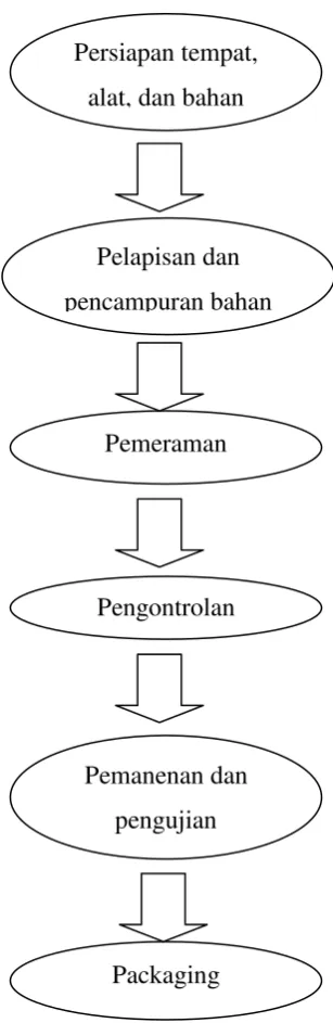 Gambar 1. Prosedur Pelaksanaan 
